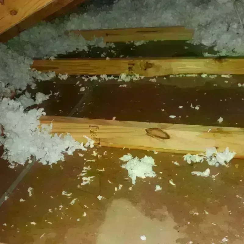 Attic Water Damage in Inyo County, CA